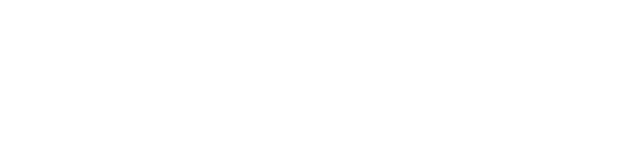 Verizon